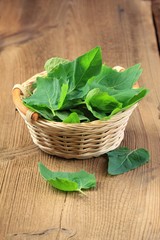 Fresh spinach leaves in basket
