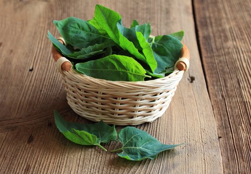 Fresh spinach leaves in  basket