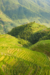 Fototapeta premium Longsheng rice terraces guilin china landscape