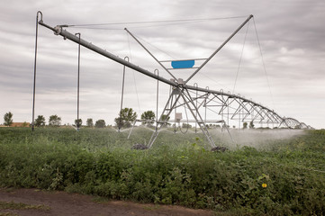 Fototapeta na wymiar Irrigation system on green field