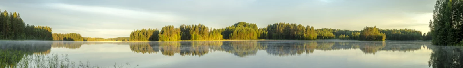 Papier Peint photo Panoramique vue panoramique sur la rive calme du lac en Europe avec brouillard, reflet des arbres et verdure à l& 39 aube