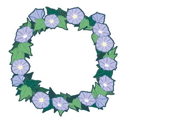 Fototapeta premium 朝顔「円形」図案-白色の背景（はがき横書き） ・夏の草花「朝顔」をイラストにしました。「朝顔」単体と、はがきサイズの比率のイラストを用意しました。