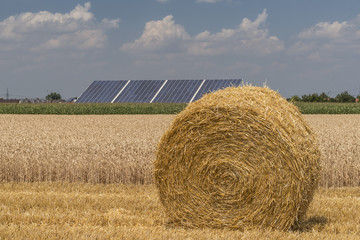 Strohballen-Gertreidefeld-Photovoltaikanlage-Maisfeld-Detail