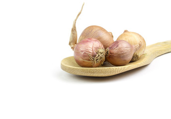 group of onion in wooden padle on white background, isolated