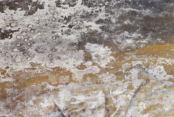 Blur dappled background, surface of salty leaf dry kelp, seaweed Dashi Kombu