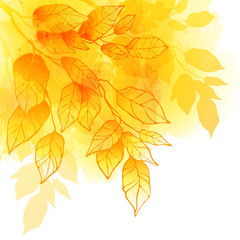 Fototapeta na wymiar Fall leafs watercolor vector background