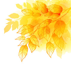 Naklejka na ściany i meble Fall leafs watercolor vector background
