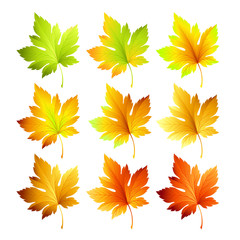 Set of colorful autumn leaves. Vector illustration.