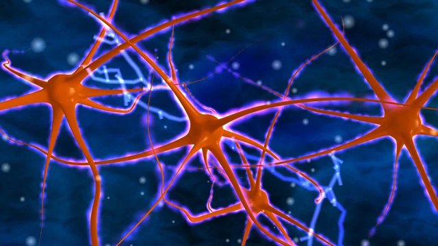 nerve cells with electrical pulses 