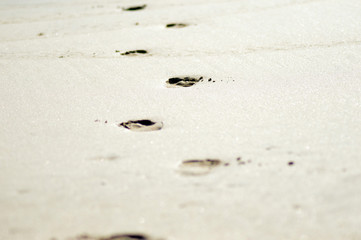footprint in sea sand