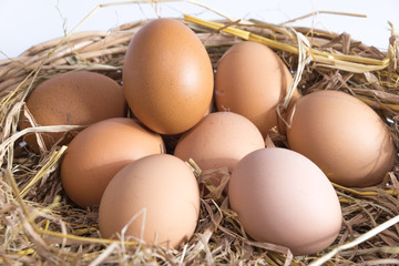 eggs on straw basket 