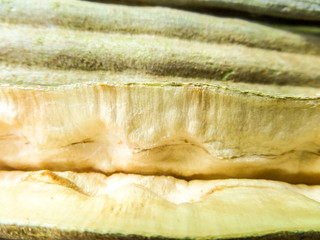 Close up green palnt