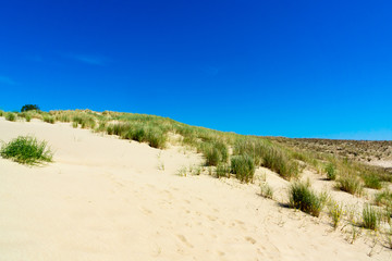 Curonian Spit
