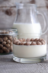 Fresh homemade yogurt with rye bran