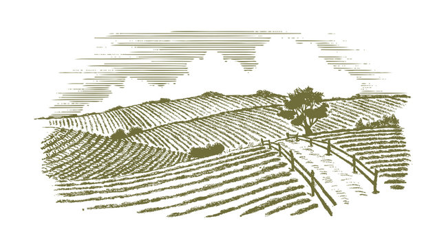 Fototapeta Woodcut Countryside