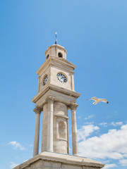 Herne Bay clock tower and seagull