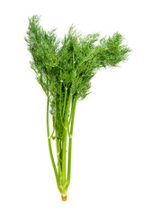 bundle dill