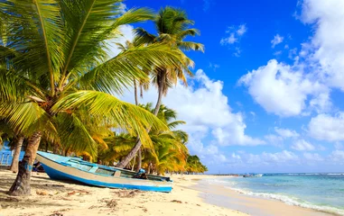 Poster Caribisch strand in Dominicaanse Republiek © Maciej Czekajewski