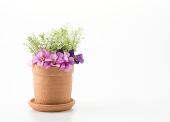 flowerpot