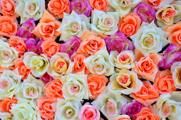 background of colored roses