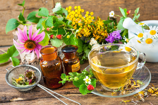 Fototapeta Cup of herbal tea with wild flowers and various herbs
