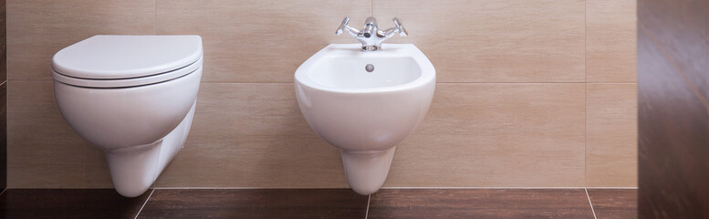 Simple ceramic toilet and bidet