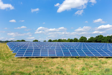 Field with lots of solar collectors