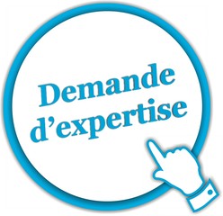 bouton demande d'expertise