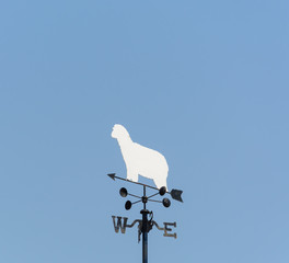 white sheep rooster weather vane