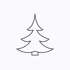 Christmas fir tree icon. Spruce sign.