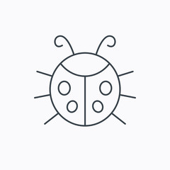 Ladybug icon. Ladybird insect sign.