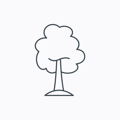 Maple tree icon. Forest wood sign.