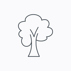 Maple tree icon. Forest wood sign.
