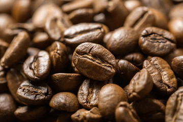 Coffee beans background