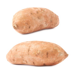 Sweet potato plant isolated