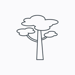 Pine tree icon. Forest wood sign.