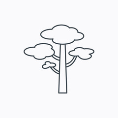 Pine tree icon. Forest wood sign.