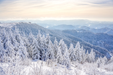 Winterlandschaft Schwarzwald 