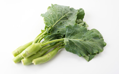 Chinese Kale