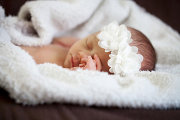 Fototapeta na wymiar Newborn baby girl