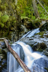 Fototapeta premium Part of Snow Creek Falls.