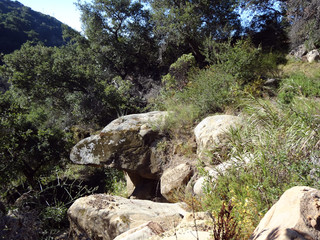 Eagle shapes rock face in the Hills of Santa Barbara