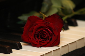 Klavier