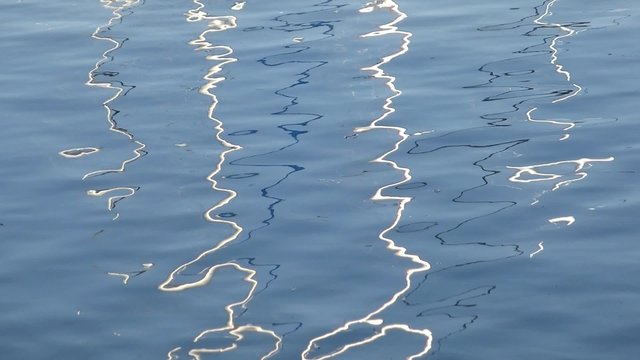 Poles reflections on lake's water