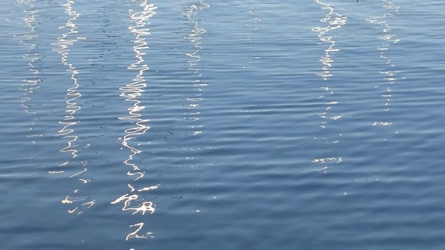 Poles reflections on lake's water