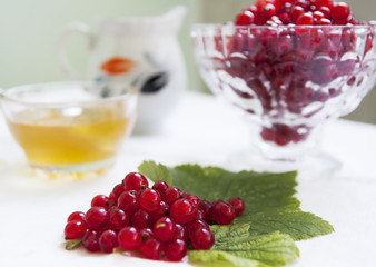 Berries on the table