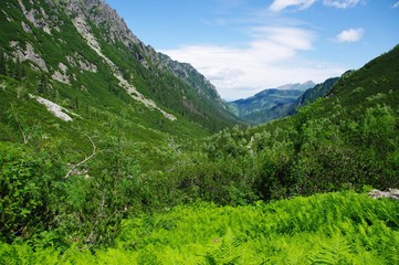 The Tatra Mountains, Poland
