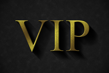 Very important person VIP
