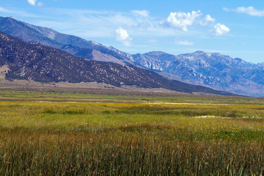 Ruby Lake National Wildlife Refuge in northern Nevada