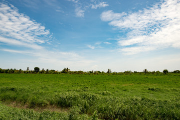 Obraz premium Sky Meadows